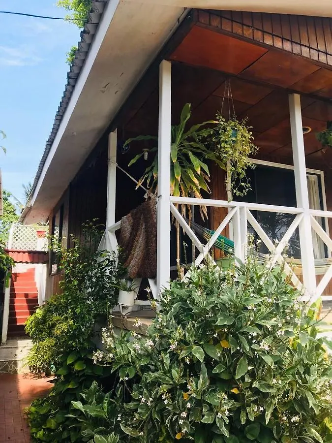 Villa Acacias Tree San Andrés Colombia
