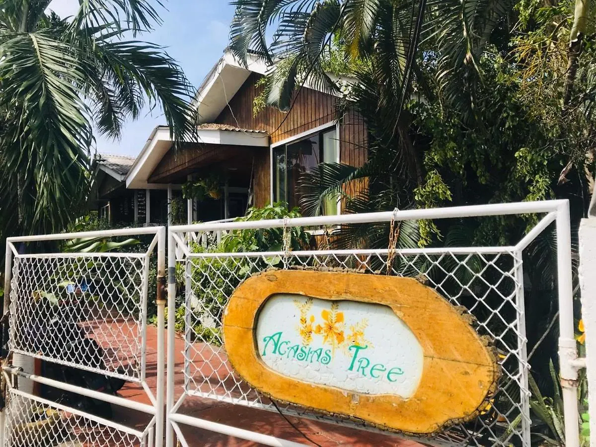 Villa Acacias Tree San Andrés