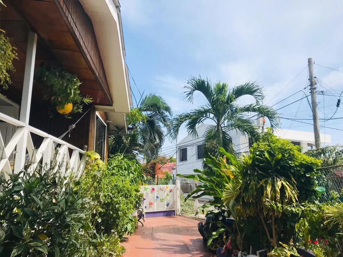 Villa Acacias Tree San Andrés 哥伦比亚